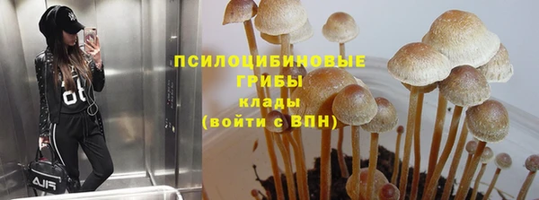 apvp Абаза