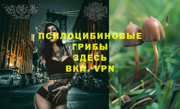 apvp Абаза