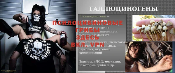 apvp Абаза