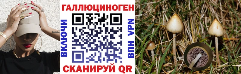 цена   kraken онион  Галлюциногенные грибы прущие грибы  Советск 