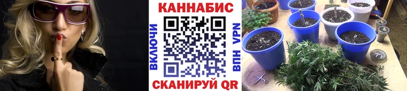 Шишки марихуана план  Советск 
